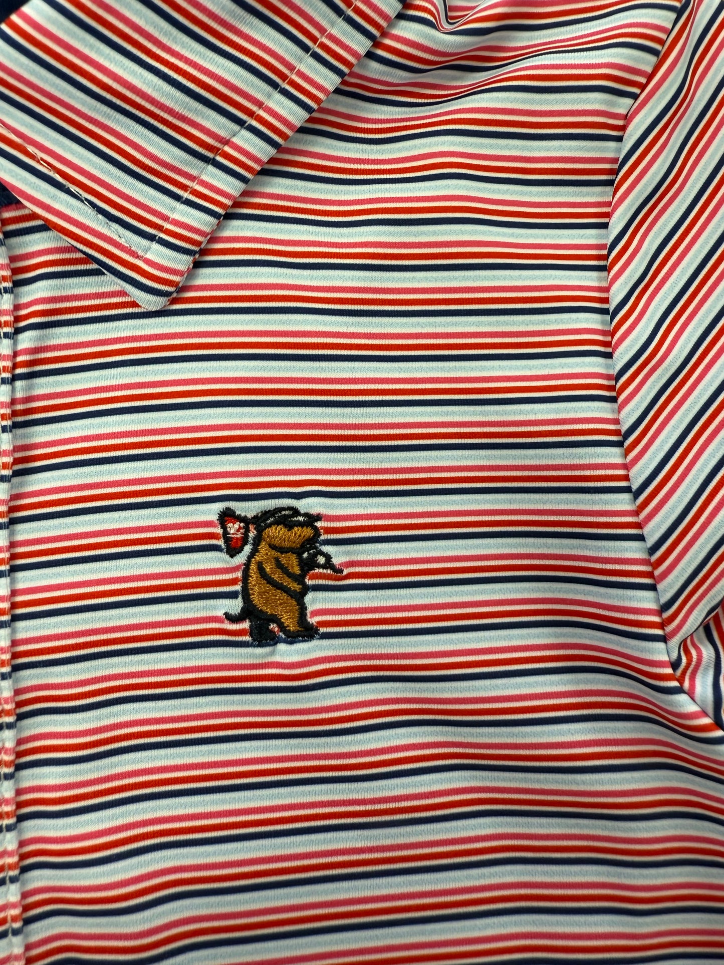 Independence Polo