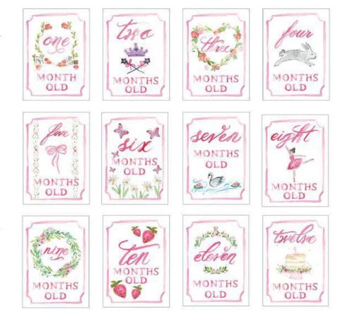 Monthly Milestone Card Set - Pink