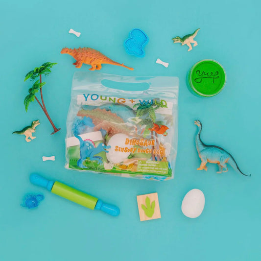 Sensory Dough Bag - Dinosaur