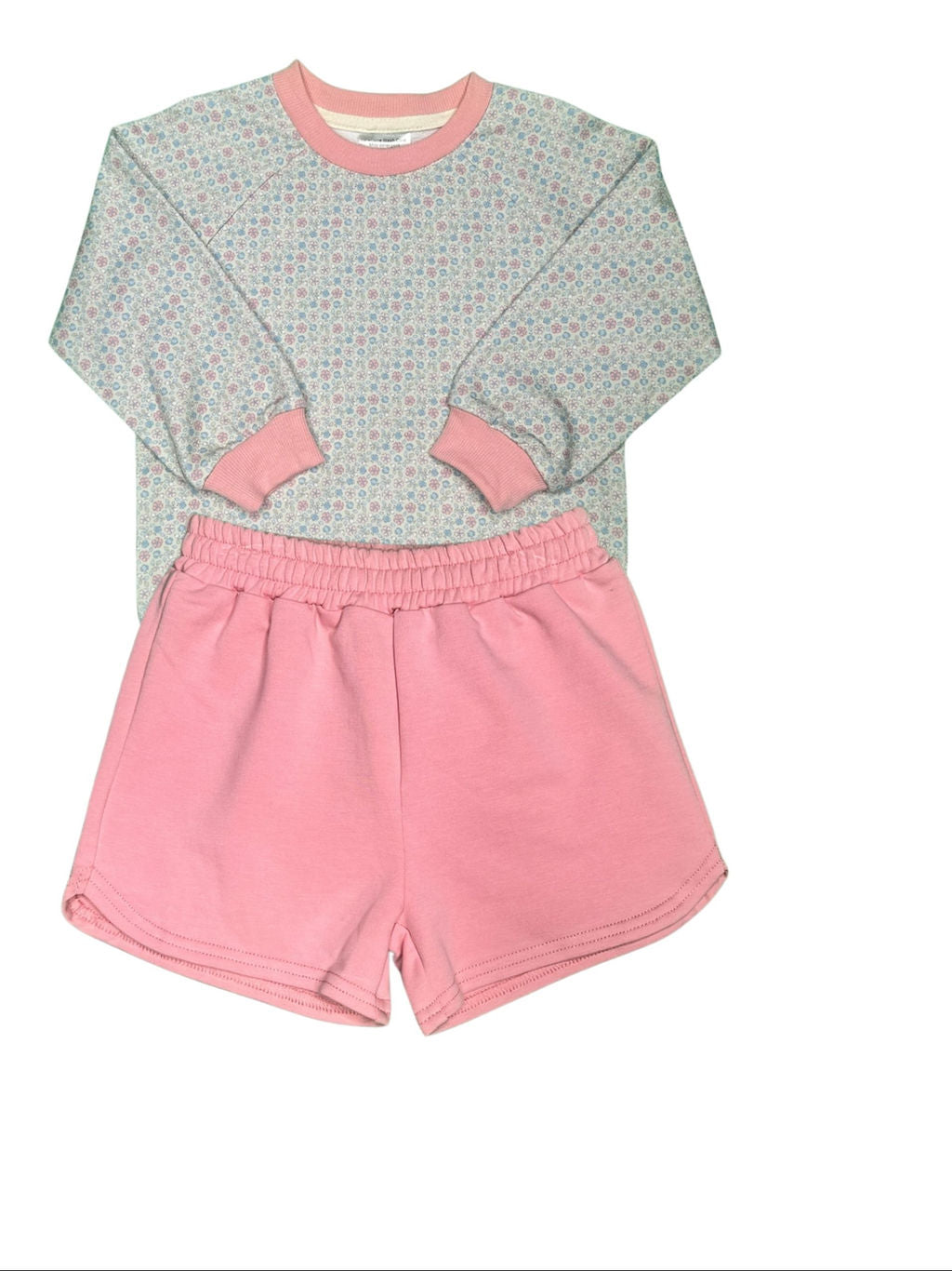 Sweatshirt Set - Blue/Pink Floral